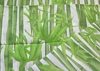 Шторка-занавеска для ванны Miranda Bamboos Green