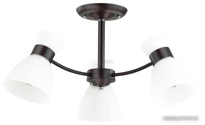 Припотолочная люстра Lumion Wilma 4534/3C