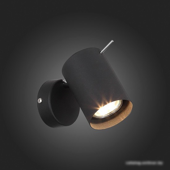 Спот ST Luce Fanale SL597.401.01