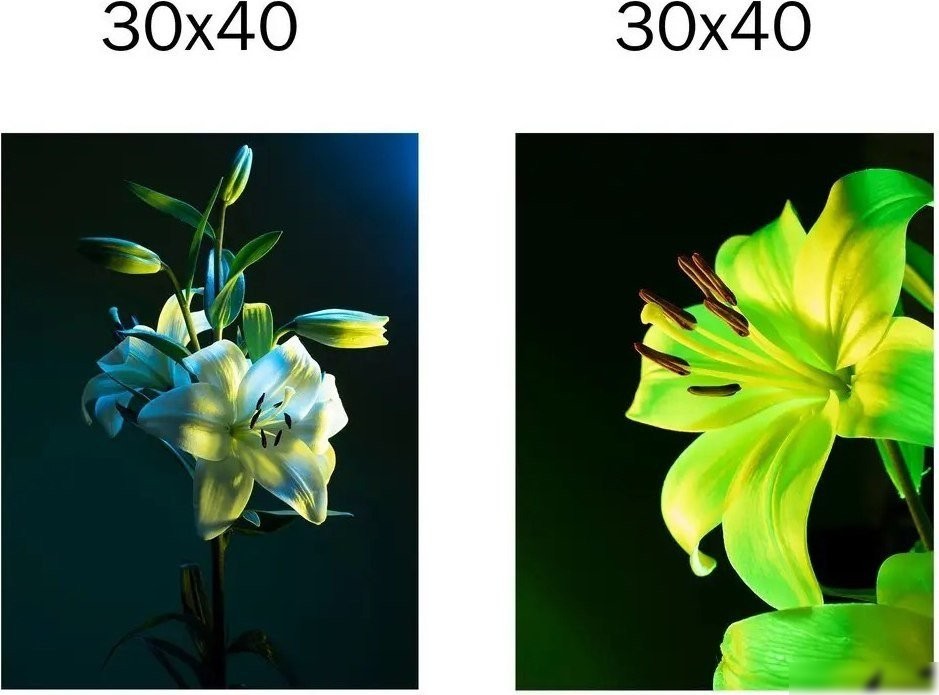 Постер Citydecor Цветы 16 30x40 см