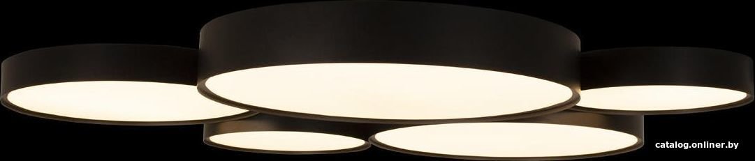 Припотолочная люстра LOFT IT Drum 10218 Black