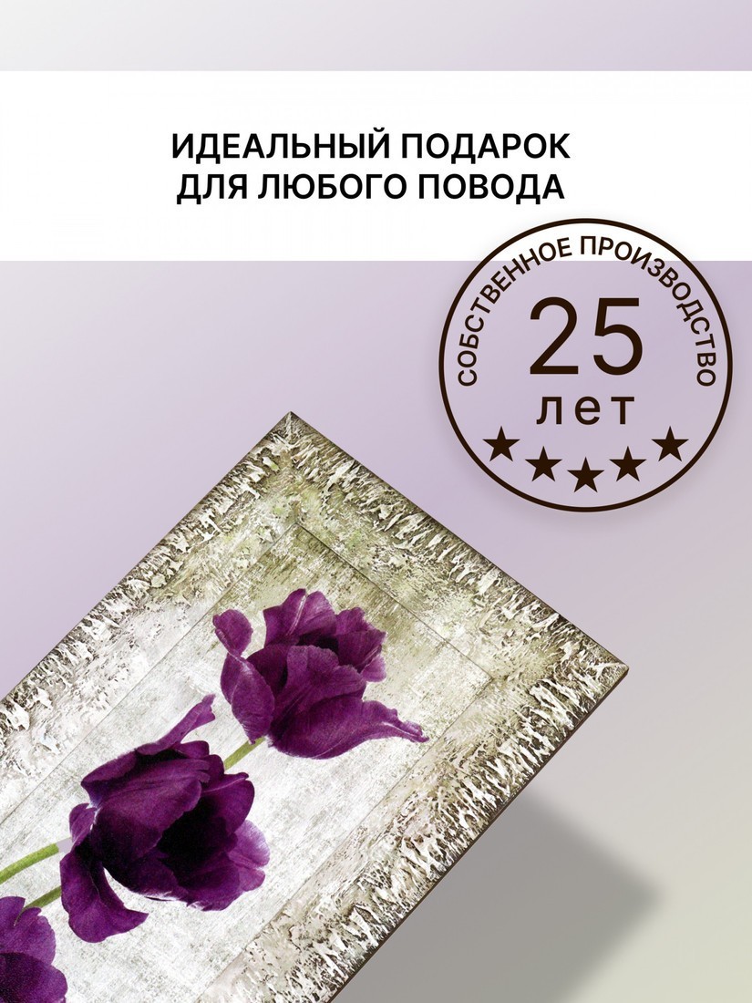 Картина Декарт 8Л0009 (в раме)