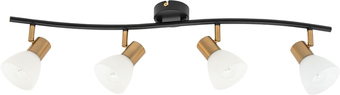 Спот Arte Lamp Falena A3117PL-4BK