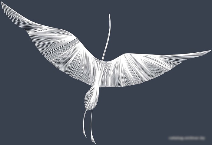 Виниловые обои Citydecor Perfect Lines 8 400x260