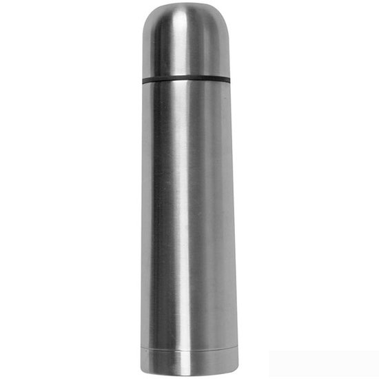 Термос Easygifts Cleveland 540307 500 мл (серебристый)