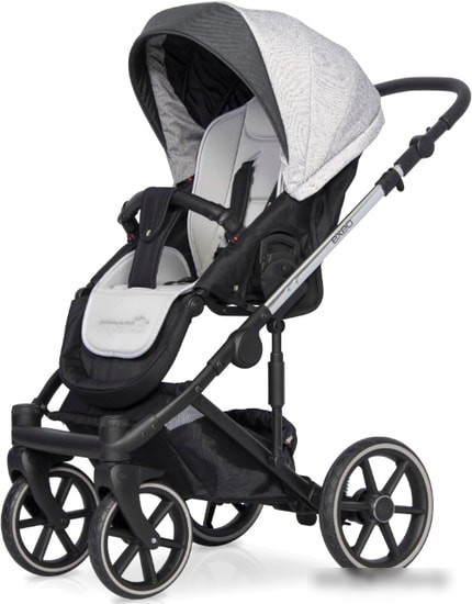 Универсальная коляска Expander Exeo (2 в 1, 01 silver)