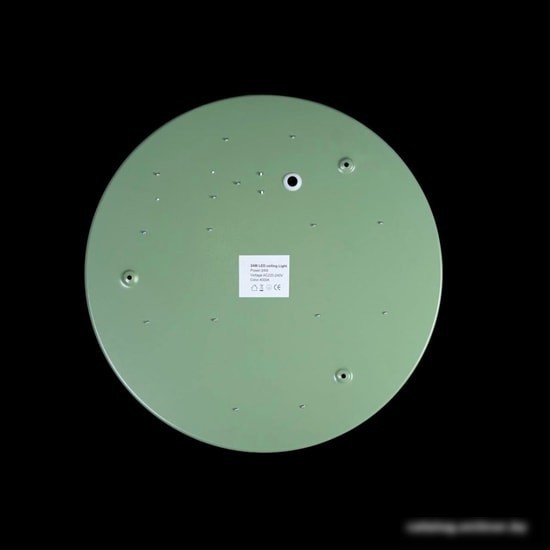 Люстра-тарелка LOFT IT Axel 10003/24 Green