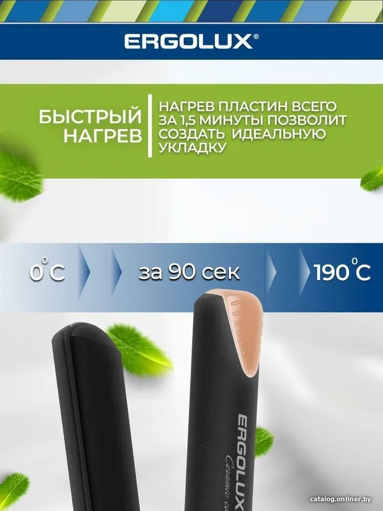 Выпрямитель Ergolux ELX-HS02-C64