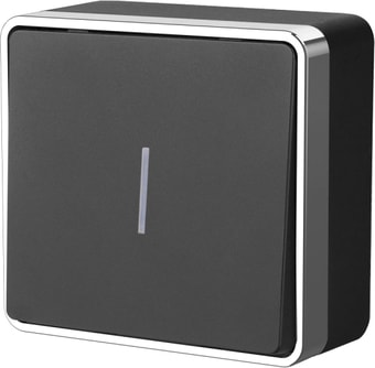 Выключатель Werkel W5010135