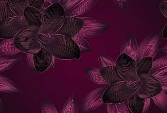 Фотообои Vimala Векторные цветы 11 270x400