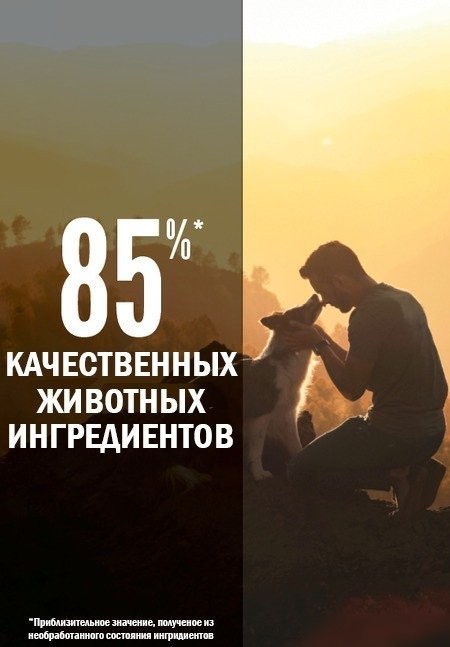 Сухой корм для собак Orijen Dog Tundra 11.4 кг