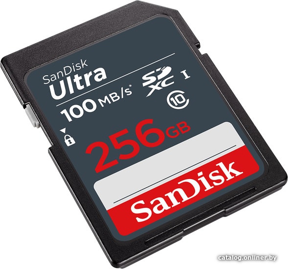Карта памяти SanDisk Ultra SDXC SDSDUNR-256G-GN3IN 256GB