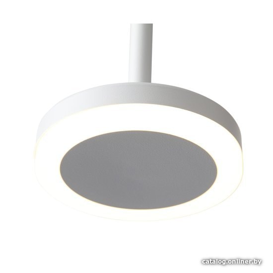 Подвесная люстра ST Luce Ciamella ST104.503.06