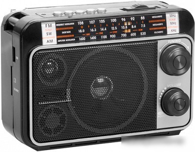 Радиоприемник Ritmix RPR-171