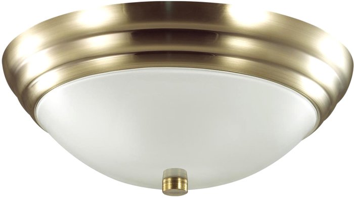 Припотолочная люстра Lumion Kayla 5262/2C