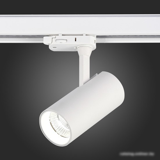 Трековый светильник ST Luce ST661.536.10