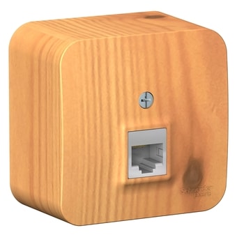 Розетка компьютерная Schneider Electric BLNIA045005