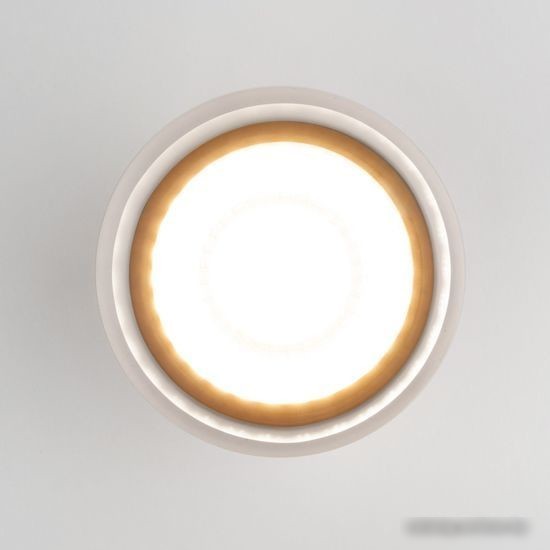 Уличный накладной светильник Elektrostandard Light LED 2107 35140/H (белый)