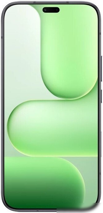 Телефон HONOR 600 Lite 8GB/256GB международная версия (вельветовый черный)