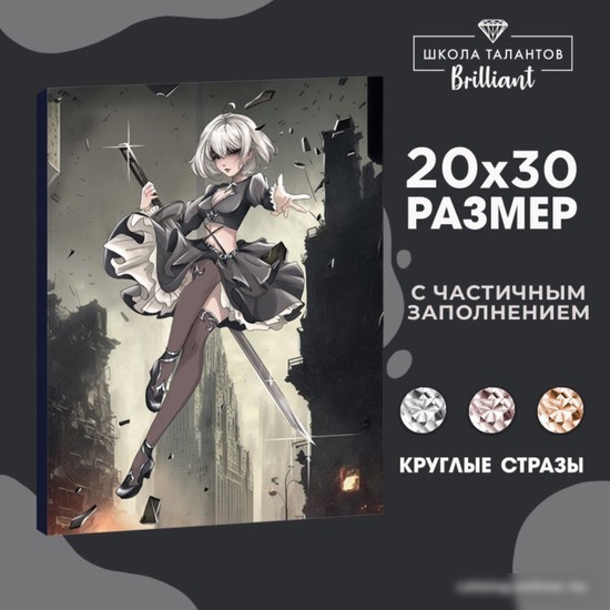 Алмазная мозаика Школа талантов Девушка с клинком 9605307