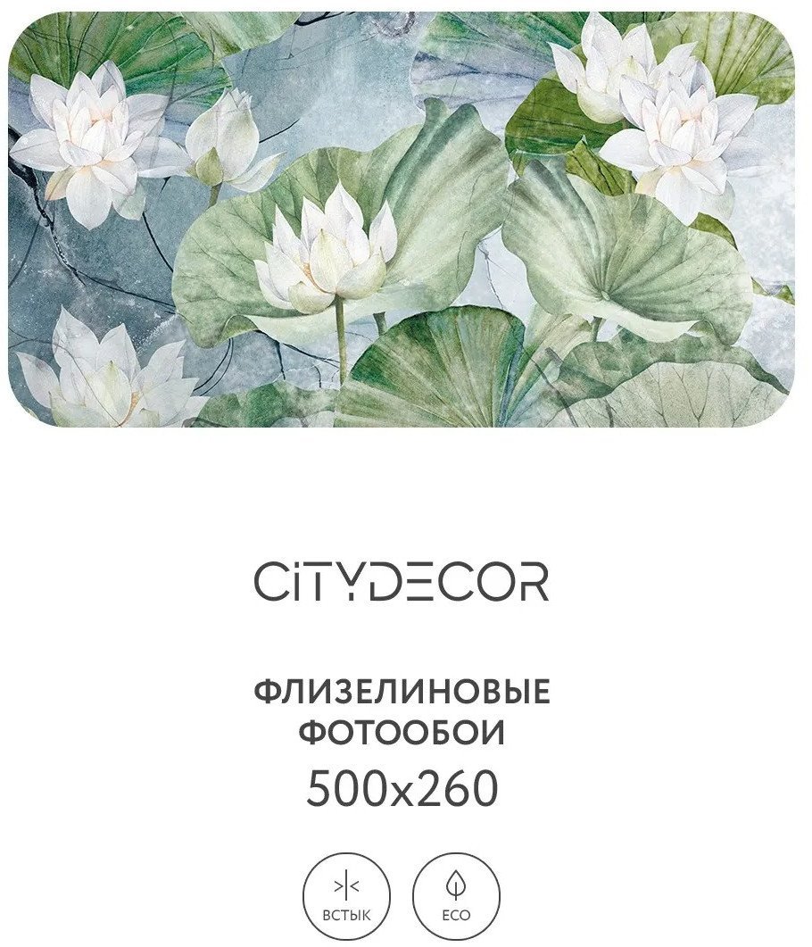 Фотообои Citydecor Blossom 26 500x260