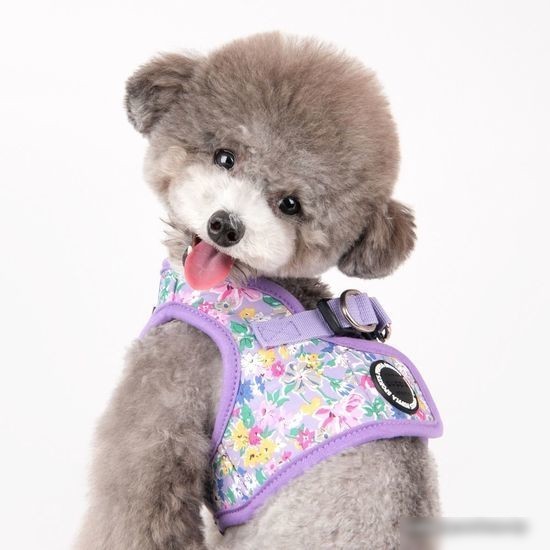 Шлейка-жилетка Puppia Lita-B PAWA-HB1959-PU-XS (фиолетовый)
