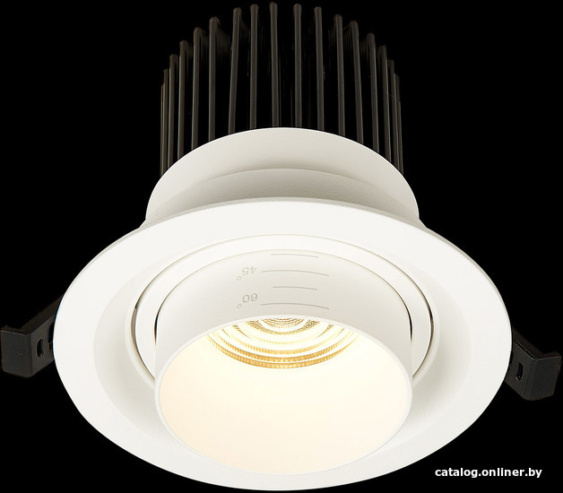 Точечный светильник ST Luce Zoom ST701.538.12