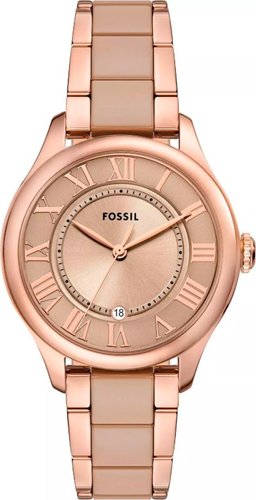 Наручные часы Fossil CE1133