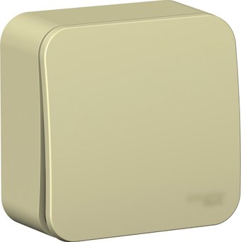Выключатель Systeme Electric Blanca BLNVA106017 (бежевый)
