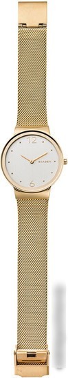 Наручные часы Skagen SKW2519