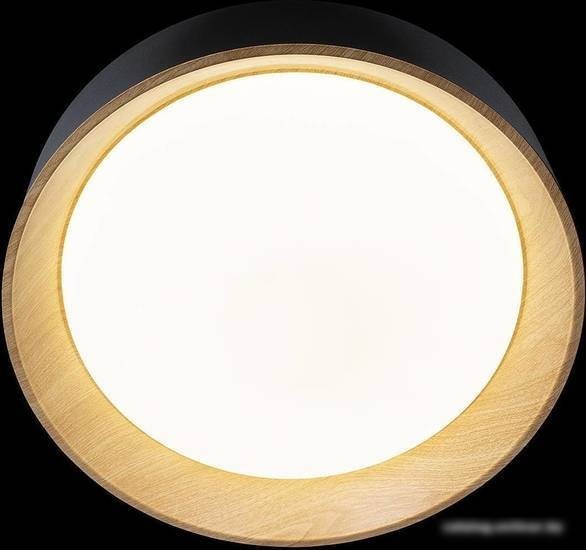 Припотолочная люстра LOFT IT Coin 10202 White