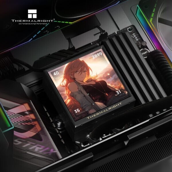Система жидкостного охлаждения для процессора Thermalright Peerless Vision 240 ARGB (черный)