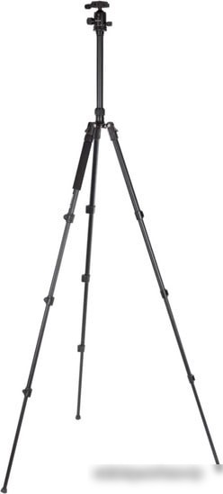 Трипод Raylab Pro 65 (с головой)
