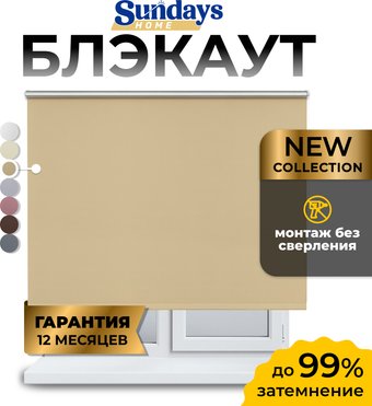 Рулонные шторы Sundays Home LM 168-05 100x160 (бежевый)