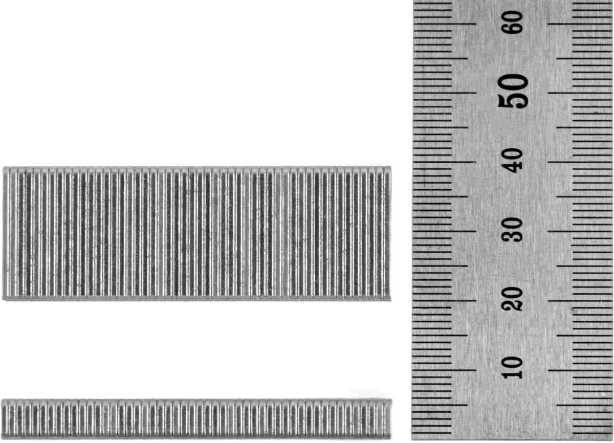 Скобы Wortex 19GA 1335959 (1000 шт)