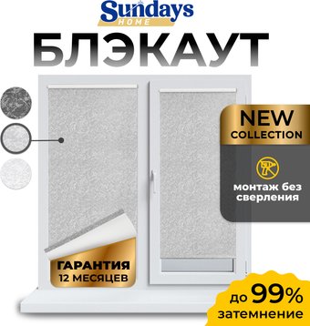 Рулонные шторы Sundays Home LM 97-08 72х215 (светло-серый)