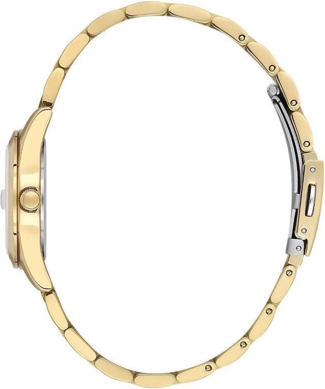 Наручные часы Daniel Klein 13758-5