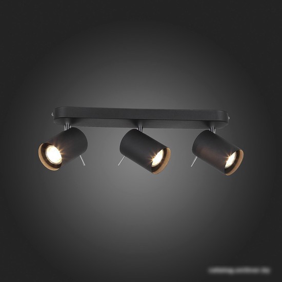 Спот ST Luce Fanale SL597.401.03