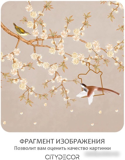 Фотообои Citydecor Цветы и Растения 175 300x260