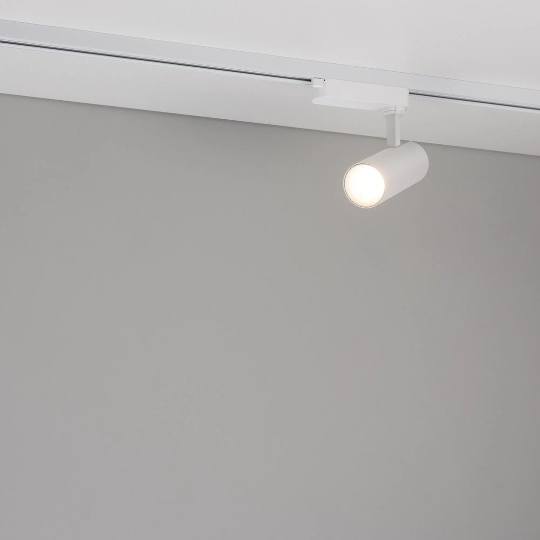 Трековый светильник Arlight LGD-GERA-2TR-R60-15W Day4000 WH 36deg 055045
