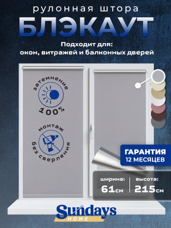 Рулонные шторы Sundays Home LM 168-07 61x215 (серый)