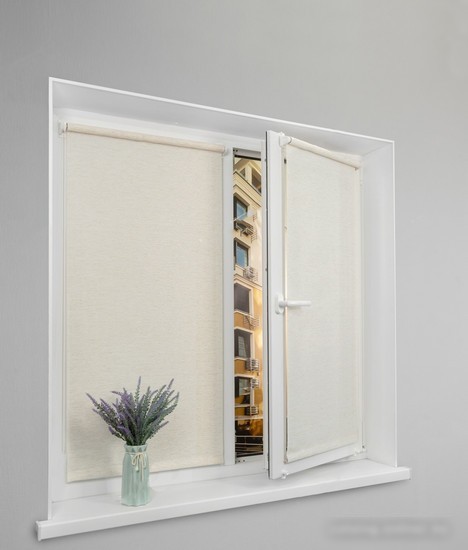 Рулонные шторы Lm Decor LM 46-02 110x160