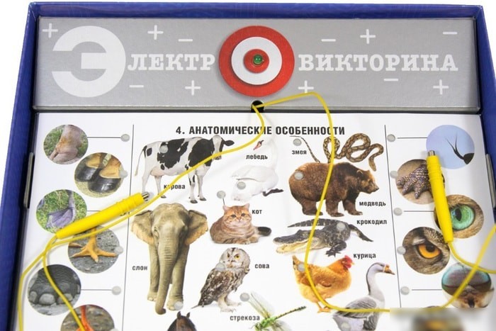 Настольная игра Десятое королевство Электровикторина Живая природа