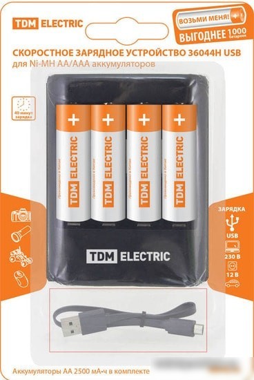 Аккумуляторы + зарядное TDM Electric 36044Н SQ1702-0101