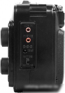 Радиоприемник Ritmix RPR-171