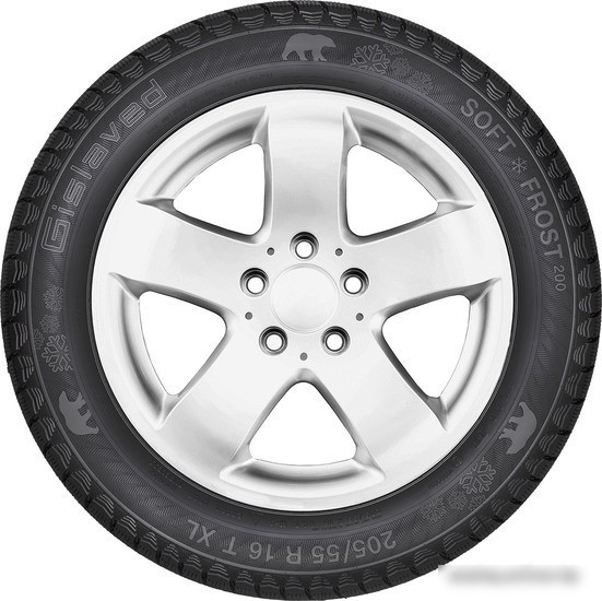 Автомобильные шины Gislaved Soft*Frost 200 SUV 225/65R17 102T