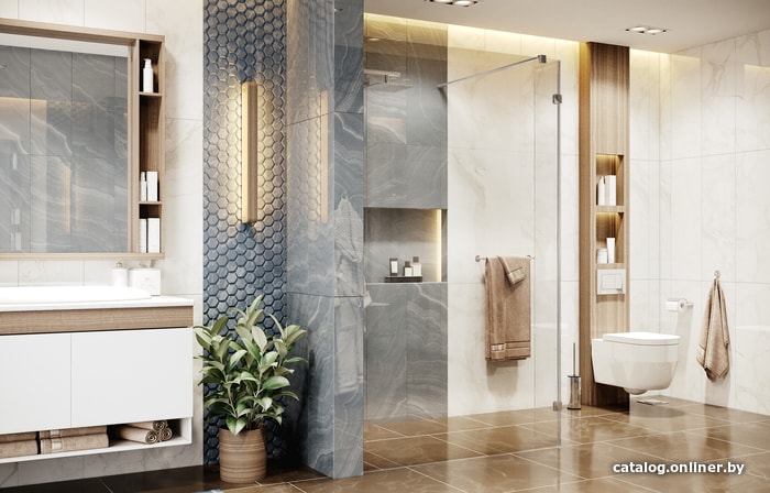 Душевая стенка Ambassador Walk-in 15031107 110х25
