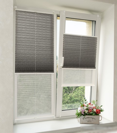 Плиссе Delfa Basic Walnut СПШ-3401/1102 Basic Transparent (34x160, антрацит/белый)