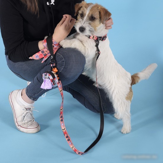Ошейник United Pets Complete Me Forever Collar (S)