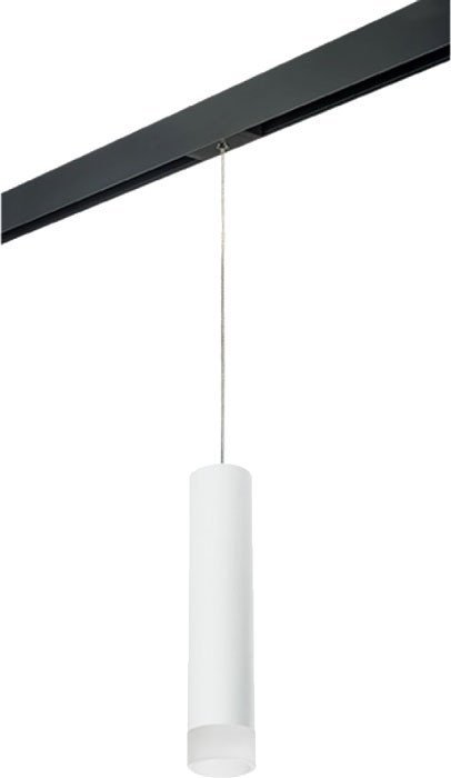 Трековый светильник Lightstar Rullo PRORP49631